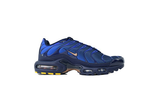 Air Max Plus French Football Federation  IQ0170-400